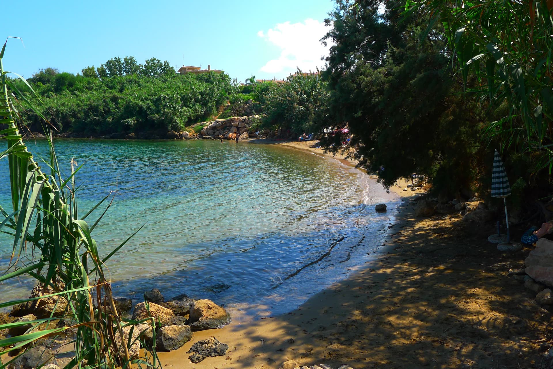 serena bay protaras nature